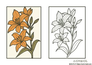8月の塗り絵｜華やかなユリを落ち着いて塗ろう｜高齢者向け無料配布見本付き