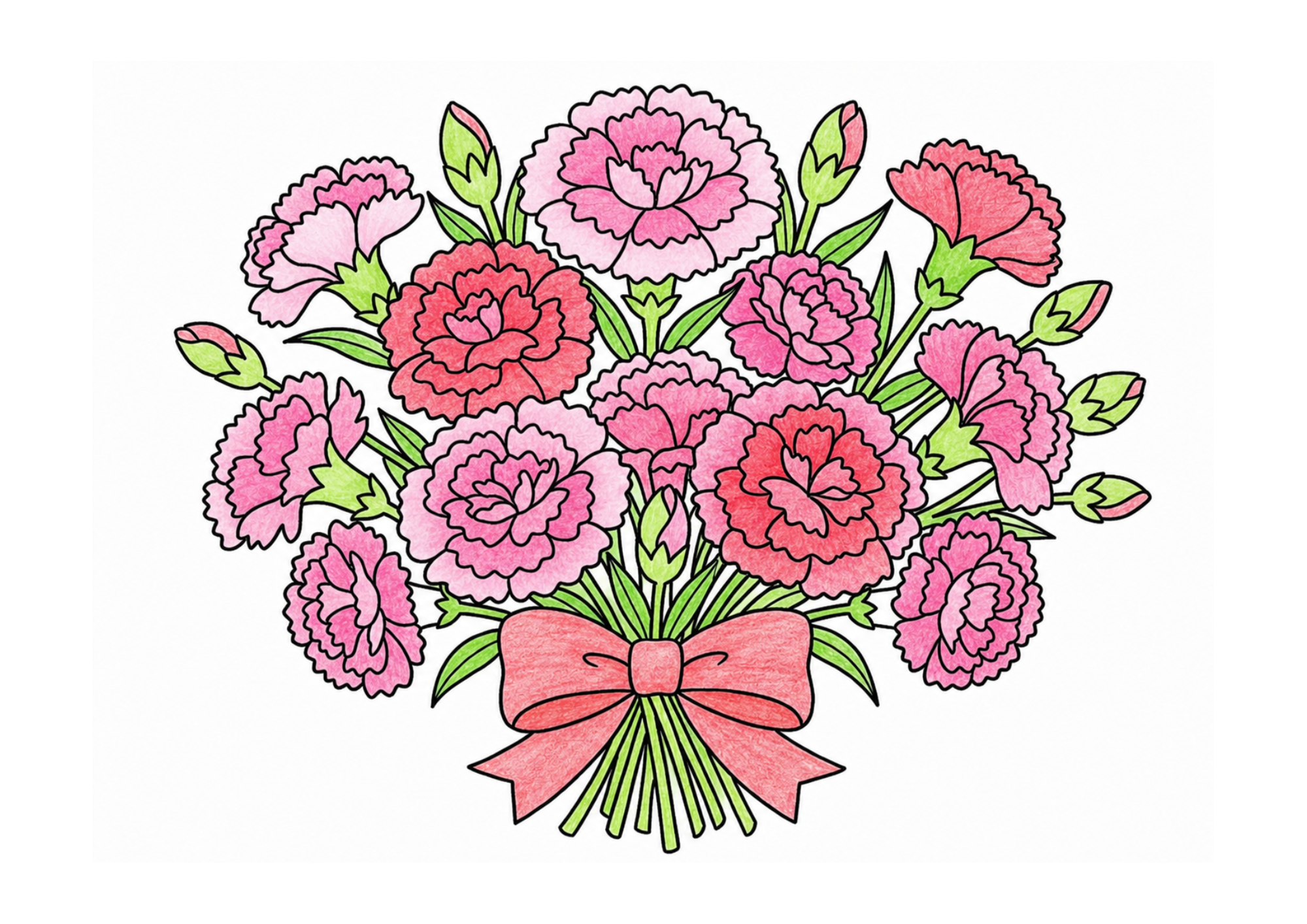 カーネーションの塗り絵イラスト