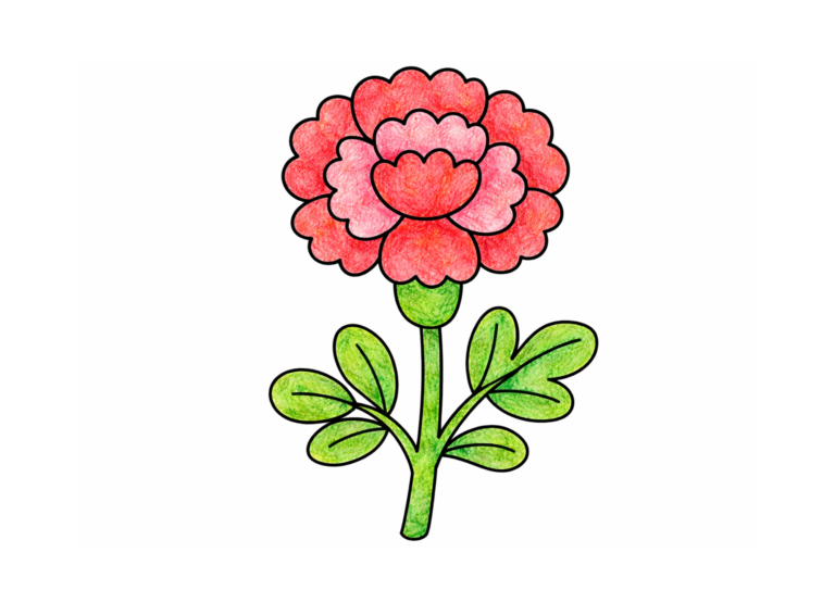 カーネーションの塗り絵