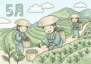茶摘みの塗り絵イラスト カラー見本 八十八夜 茶畑 菅笠の女性 5月