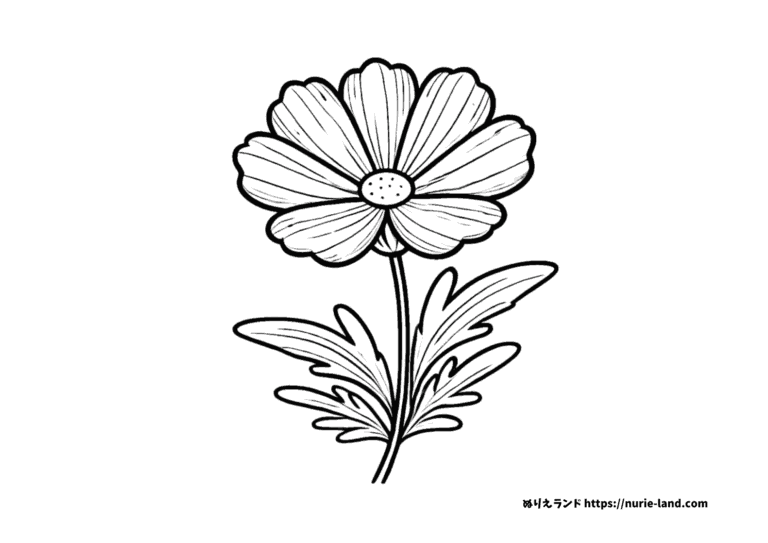コスモスの塗り絵イラスト