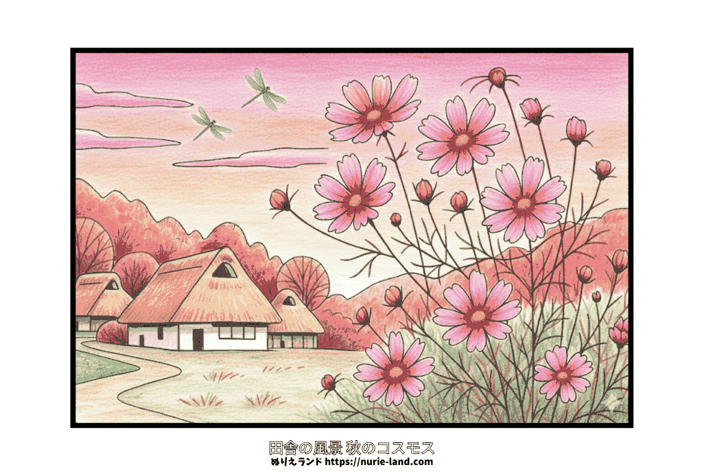 コスモスと古民家の里山風景を描いた高齢者向け塗り絵|秋に無料ダウンロードできる季節の線画素材と見本