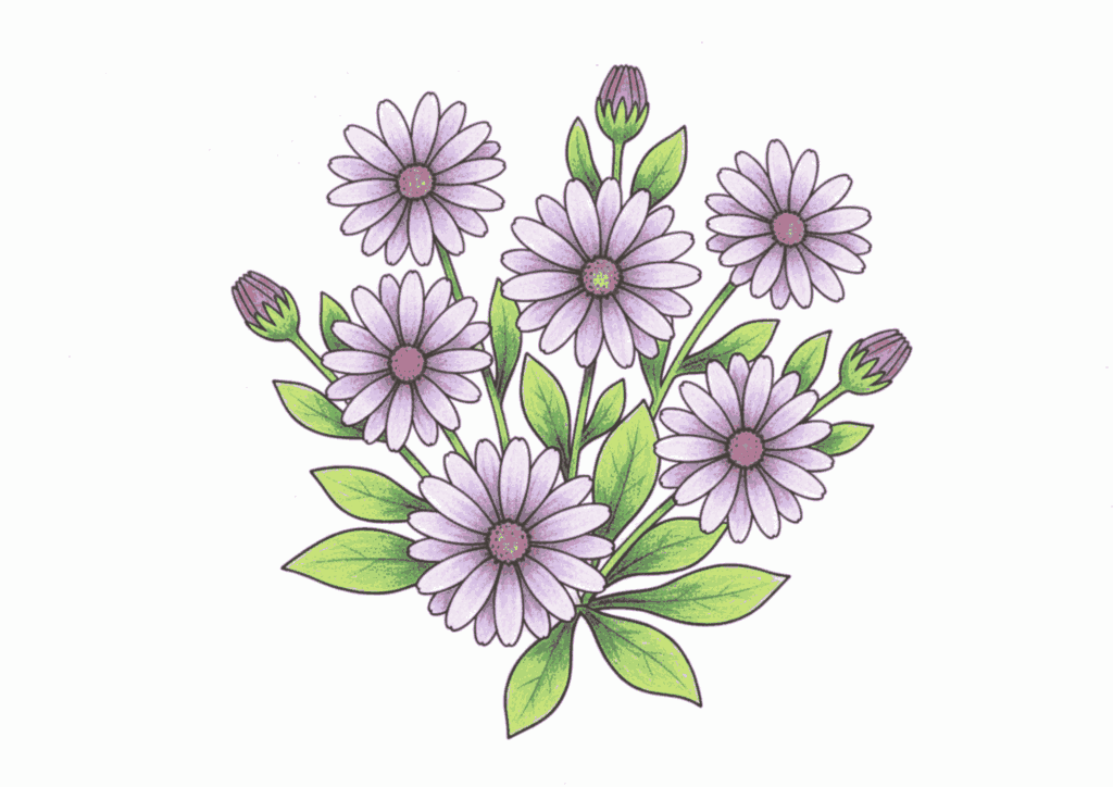 秋のコスモスの塗り絵イラスト 無料ダウンロード用フリー画像素材
