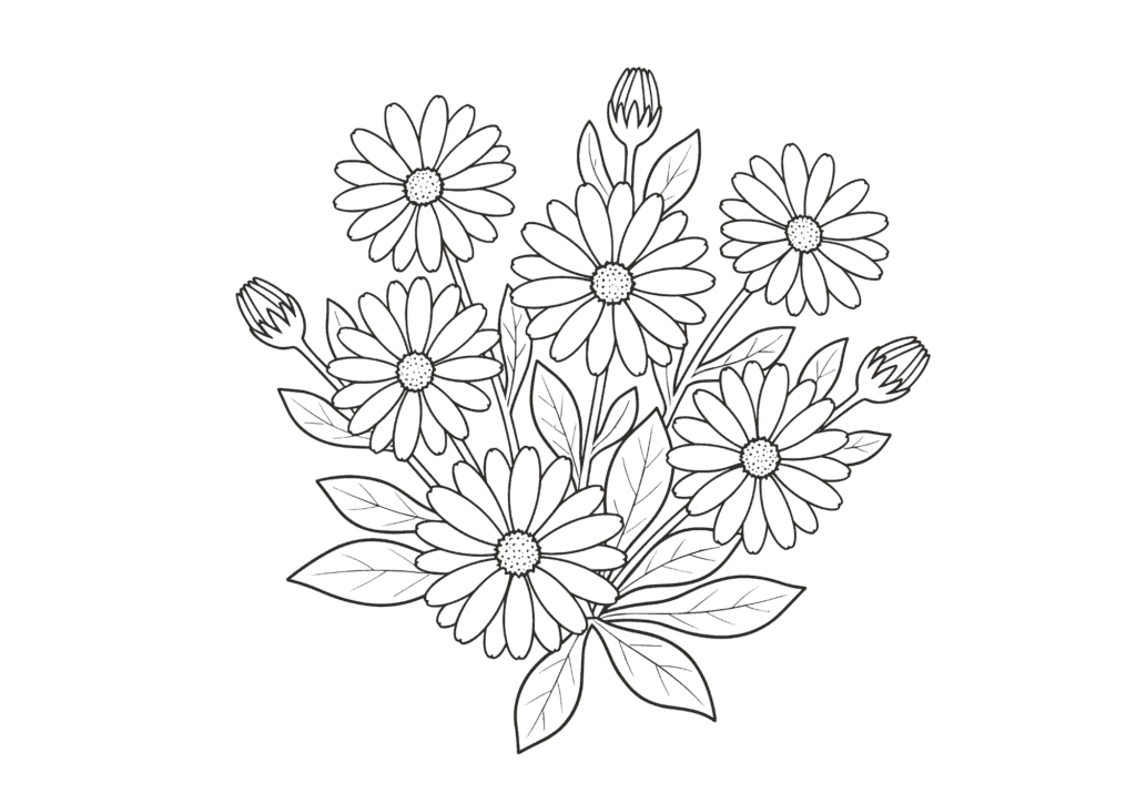 オステオスペルマムの花 塗り絵イラストの塗り絵 白黒 無料ダウンロード 印刷用