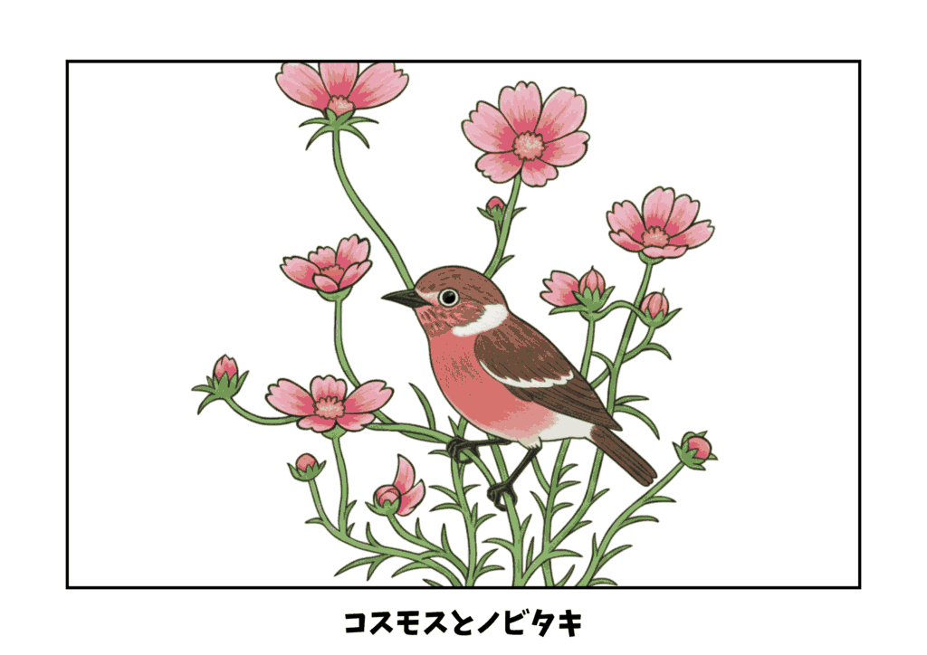 cosmos_nobitaki_eyecatch