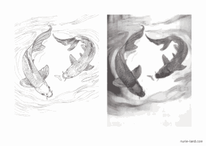鯉の塗り絵見本付き