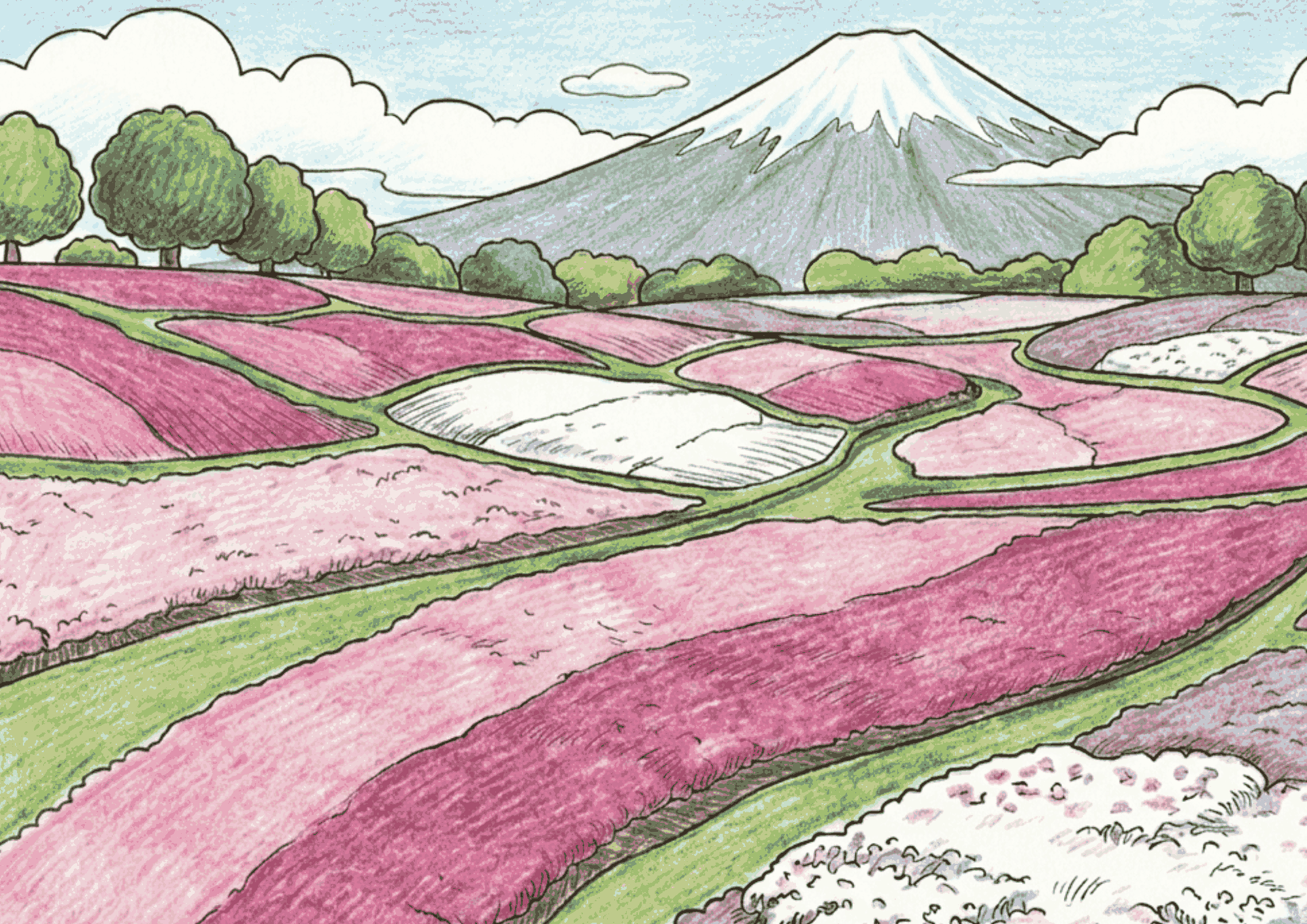 富士山と芝桜の無料塗り絵イラスト素材|高齢者・大人向け春の風景フリー画像