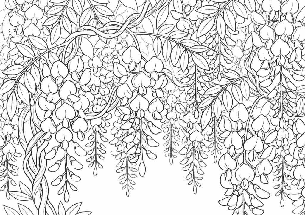 藤の花ぬりえの塗り絵 白黒 無料ダウンロード 印刷用