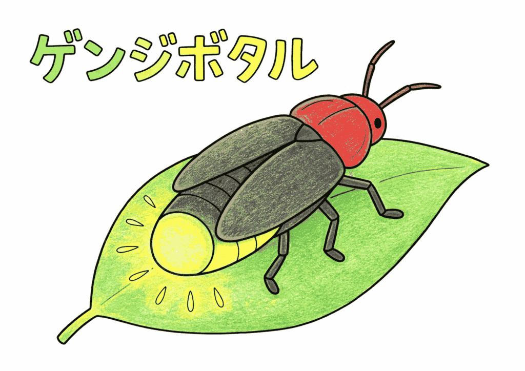 源氏蛍（ゲンジボタル）が葉の上で光る塗り絵 カラー見本