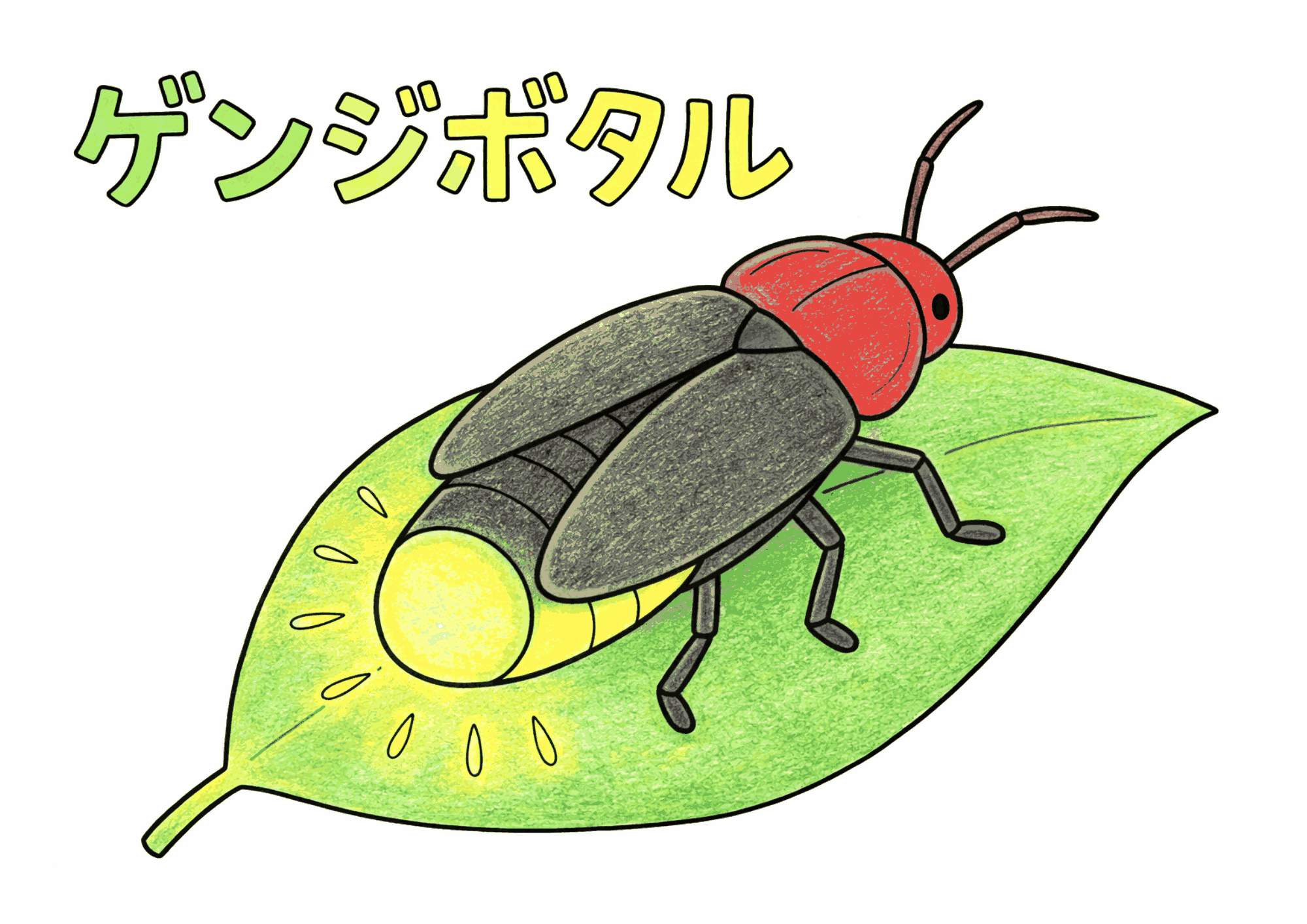 源氏蛍(ゲンジボタル)が葉の上で光る塗り絵 カラー見本