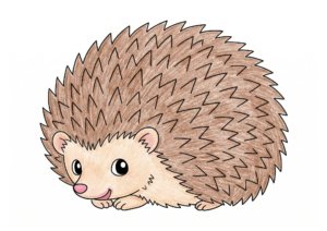 ハリネズミの塗り絵イラスト
