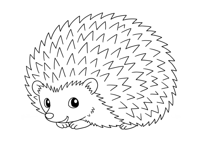 Hedgehog coloring page - black and white printable