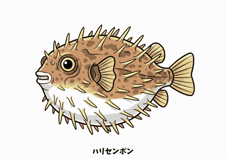 ハリセンボンの塗り絵イラスト