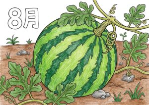 畑のスイカの塗り絵イラスト カラー見本（無料・印刷OK）
