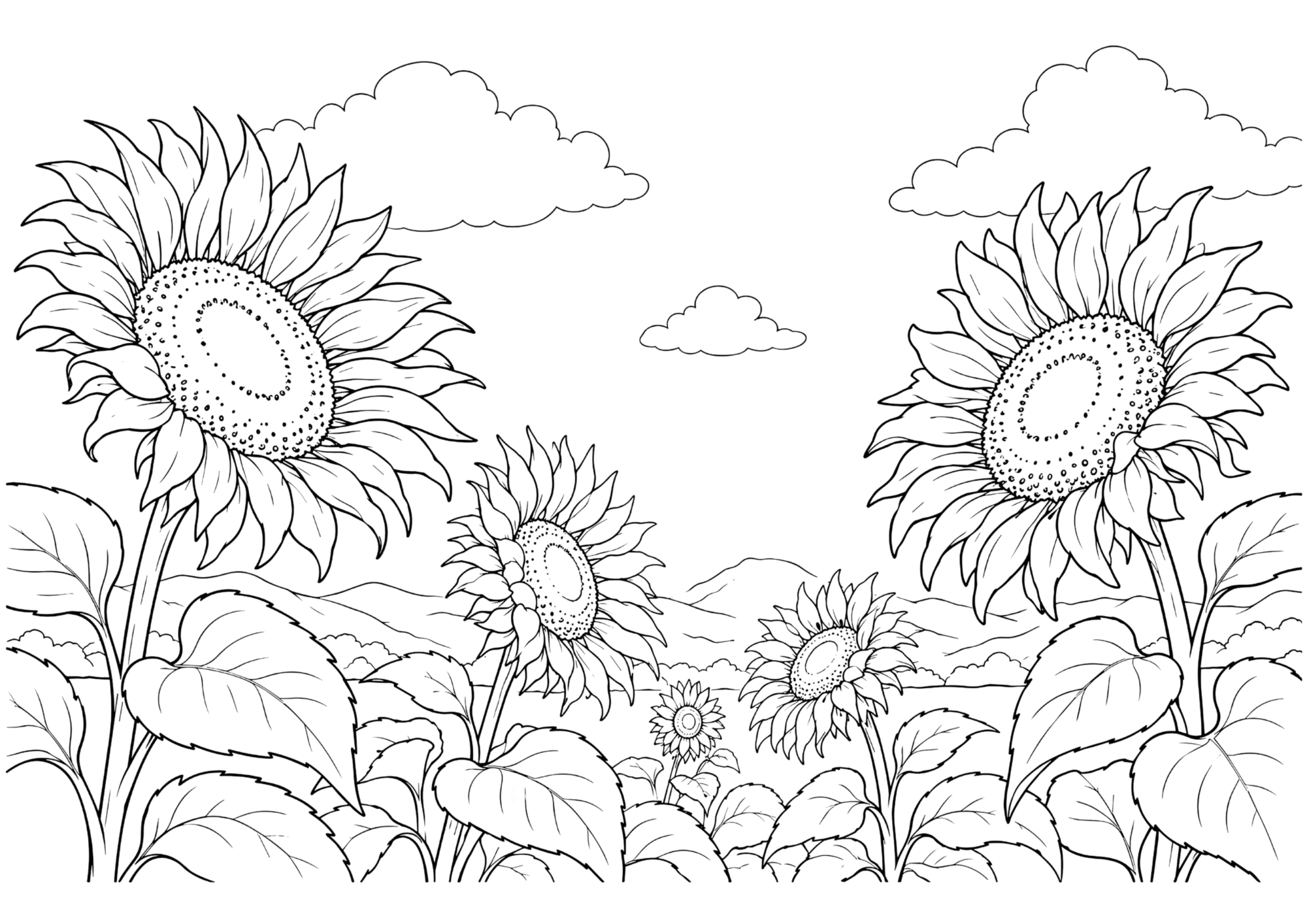ひまわり畑の塗り絵 白黒 印刷用