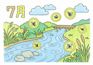 蛍（7月）の塗り絵 カラー見本