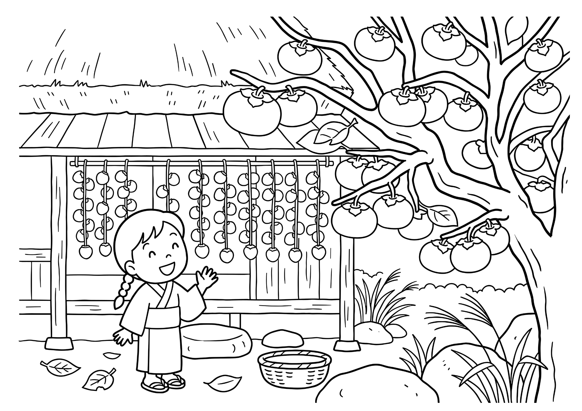柿の塗り絵イラスト 白黒線画 印刷用（無料）