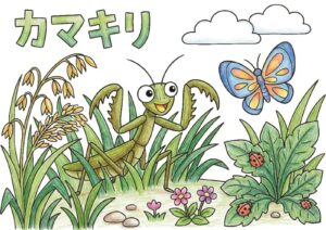 カマキリ（蟷螂）の塗り絵イラスト カラー見本（無料・印刷OK）
