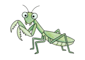 カマキリの塗り絵イラスト