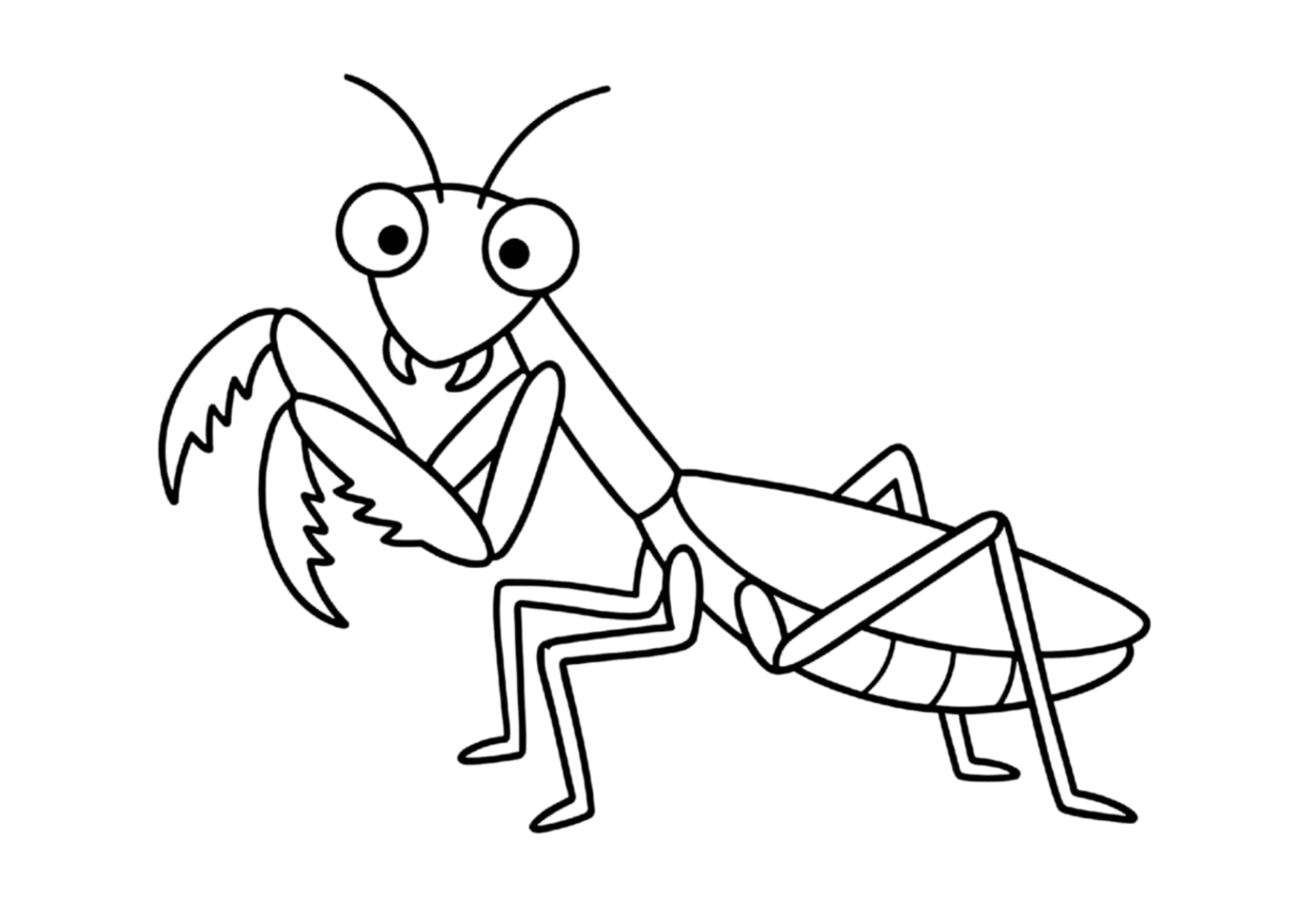 カマキリの塗り絵 白黒|無料ダウンロード・印刷