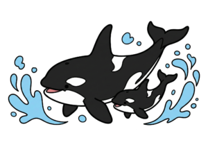 親子のシャチの塗り絵イラスト
