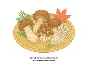 秋のきのこ盛り合わせの塗り絵イラスト カラー見本（無料・印刷OK）