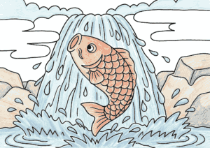 鯉の滝登りの塗り絵 カラー見本