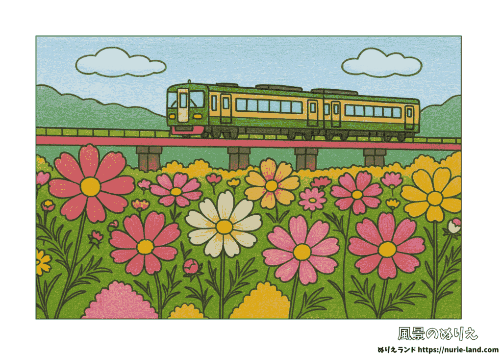 高齢者向け塗り絵素材｜色鉛筆で塗られたコスモス畑と鉄橋を走る電車の秋風景。9月におすすめの無料ダウンロード用ぬりえ