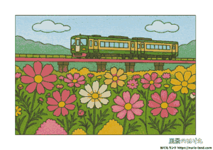 高齢者向け塗り絵素材｜色鉛筆で塗られたコスモス畑と鉄橋を走る電車の秋風景。9月におすすめの無料ダウンロード用ぬりえ