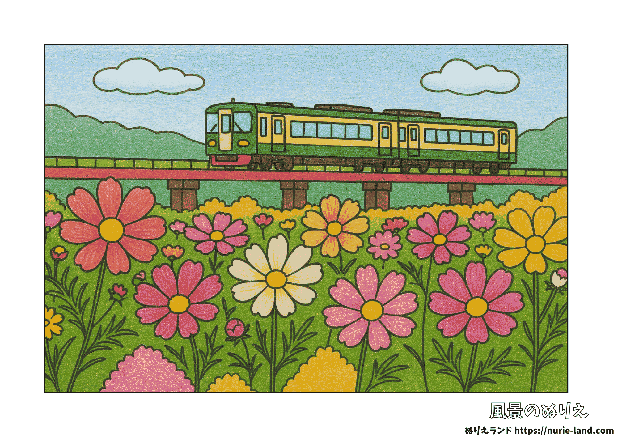 高齢者向け塗り絵素材|色鉛筆で塗られたコスモス畑と鉄橋を走る電車の秋風景。9月におすすめの無料ダウンロード用ぬりえ