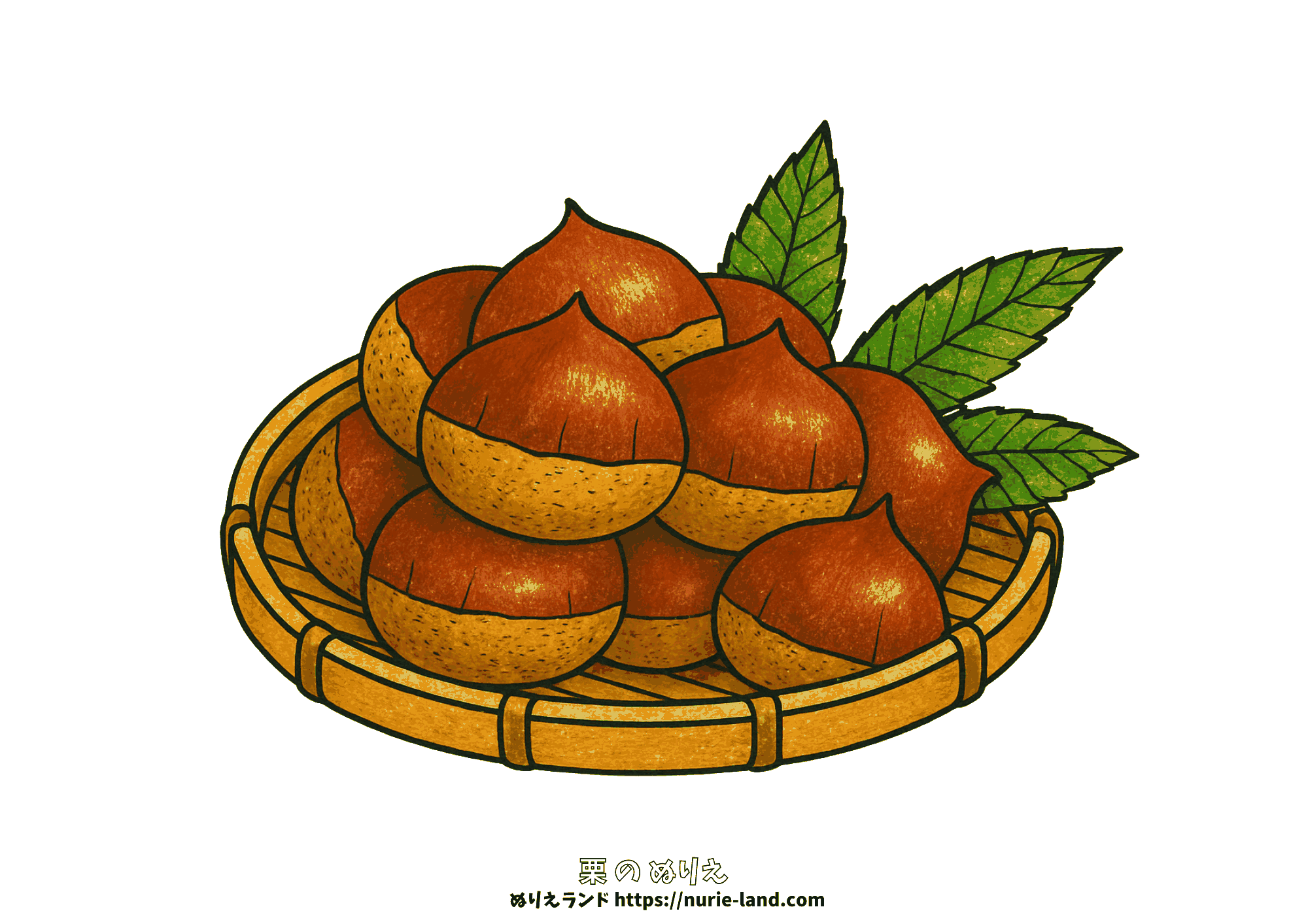 栗の塗り絵|秋の味覚を描く無料素材|高齢者向け|ざるに盛られた栗と葉|太線で塗りやすい|色鉛筆着彩に最適