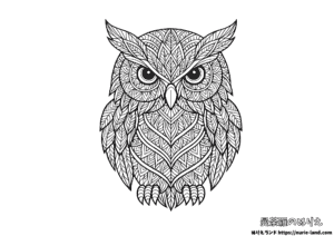 フクロウの曼荼羅塗り絵｜神秘と知性を描く｜大人向けかっこいい無料ダウンロード