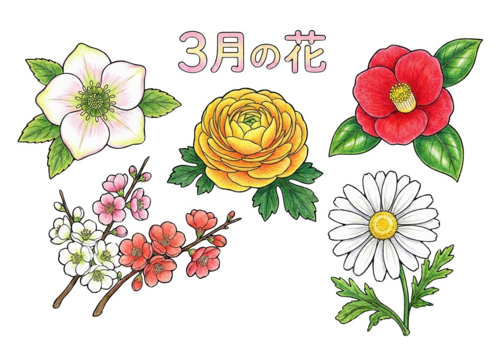 3月の花の塗り絵イラスト カラー見本（無料・印刷OK）