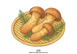 松茸の塗り絵イラスト カラー見本（無料・印刷OK）