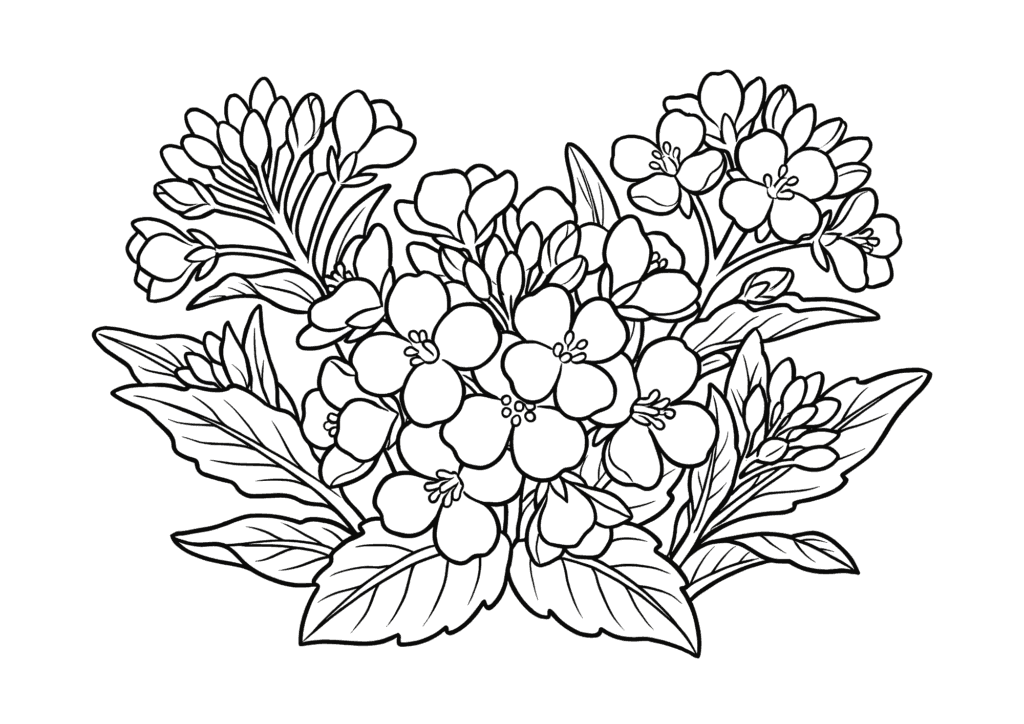春の花・菜の花の塗り絵 白黒 無料ダウンロード 印刷用