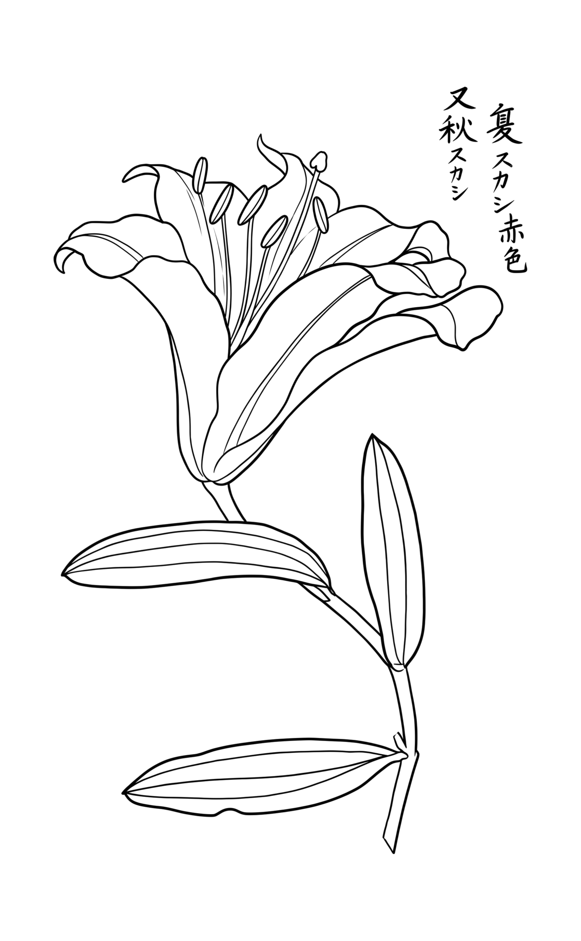 夏スカシの塗り絵イラスト 白黒線画 印刷用(無料)