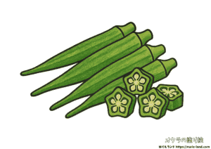 オクラ 塗り絵｜夏野菜を楽しく塗ろう｜7月・8月の高齢者向け見本付きぬりえ
