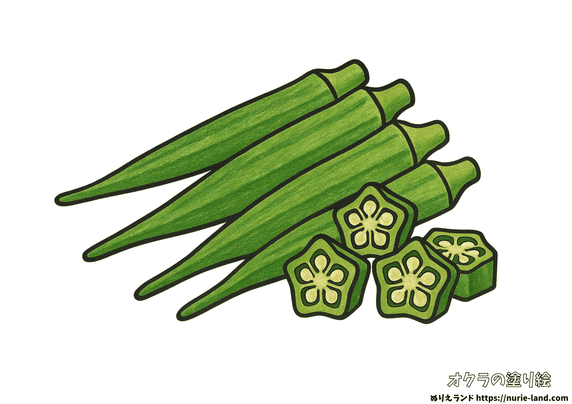 オクラ 塗り絵|夏野菜を楽しく塗ろう|7月・8月の高齢者向け見本付きぬりえ