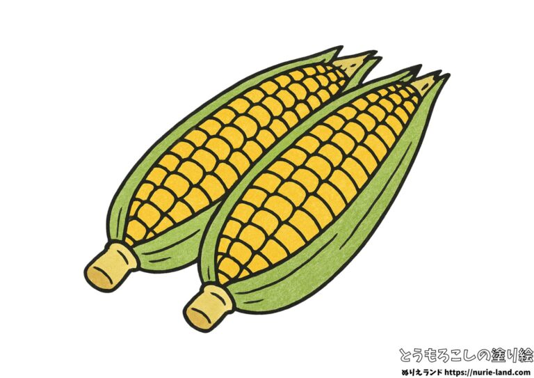 とうもろこしの塗り絵イラスト