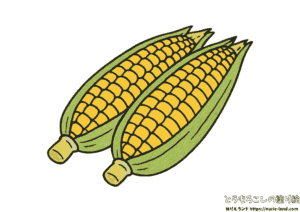 とうもろこし 塗り絵｜夏野菜を簡単に塗ろう｜7月・8月の高齢者向け見本付きぬりえ