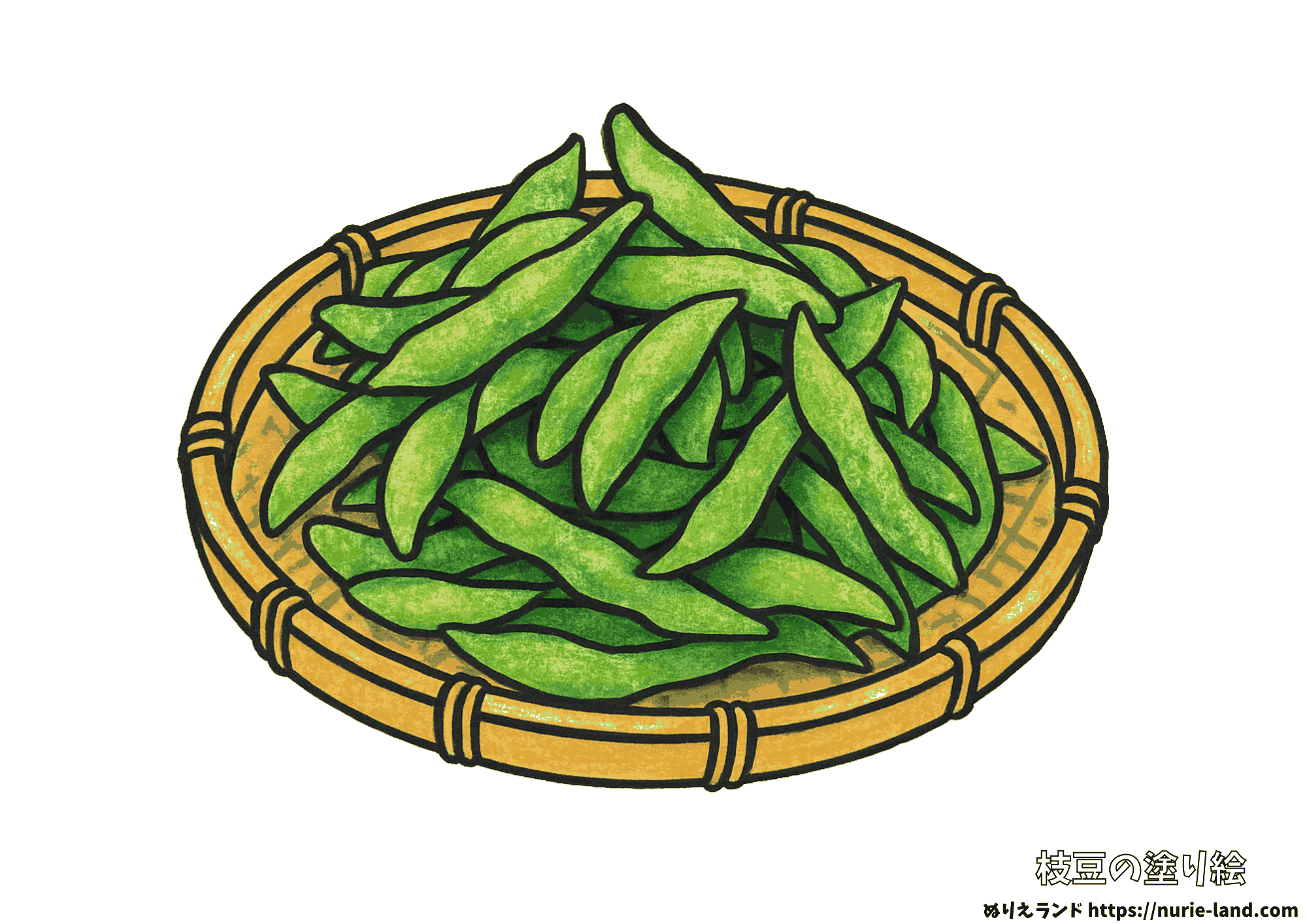 枝豆の塗り絵|夏の旬野菜を丁寧に彩ろう|高齢者向け見本付き無料ダウンロード