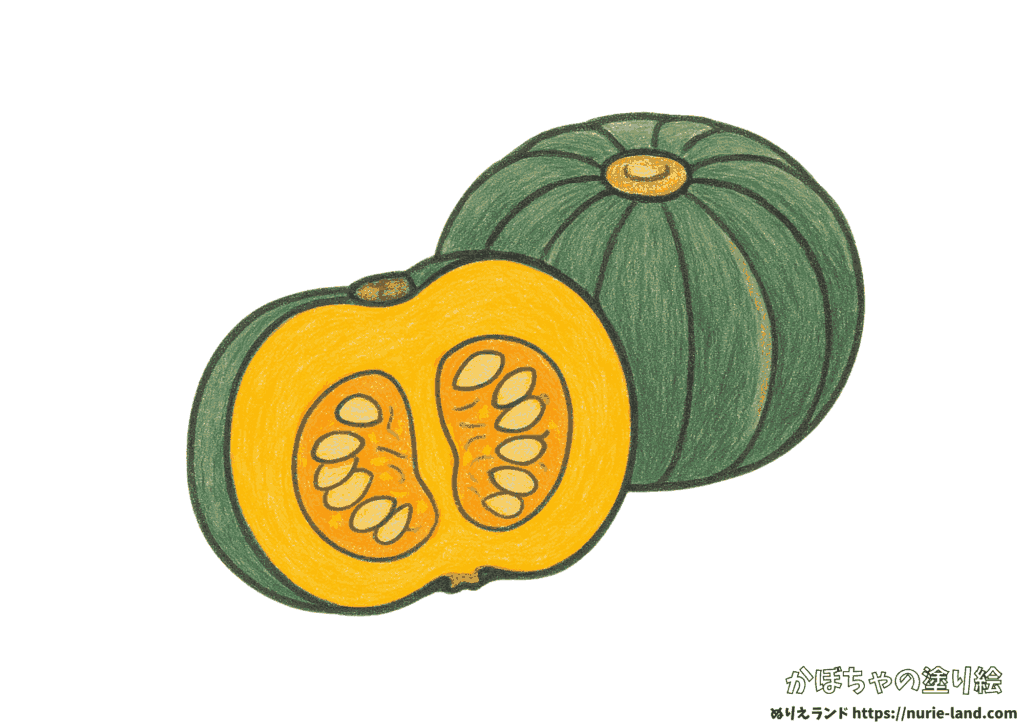 かぼちゃの塗り絵｜夏野菜の断面も塗れる｜高齢者向け見本付き無料ダウンロード