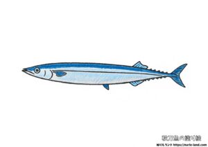 秋刀魚の塗り絵イラスト カラー見本（無料・印刷OK）