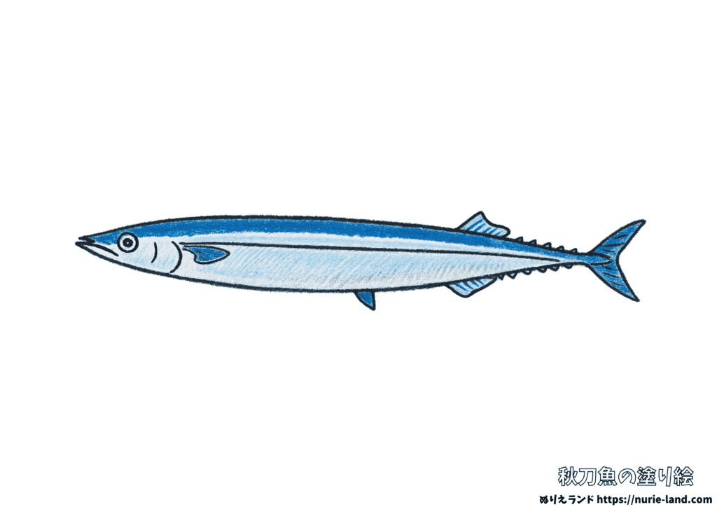 秋刀魚の塗り絵｜秋の味覚を丁寧に塗ろう｜高齢者向け見本付き無料ダウンロード