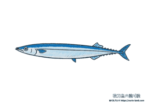 秋刀魚の塗り絵｜秋の味覚を丁寧に塗ろう｜高齢者向け見本付き無料ダウンロード