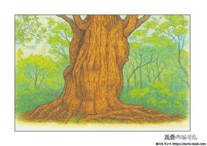 屋久杉の塗り絵イラスト カラー見本（無料・印刷OK）
