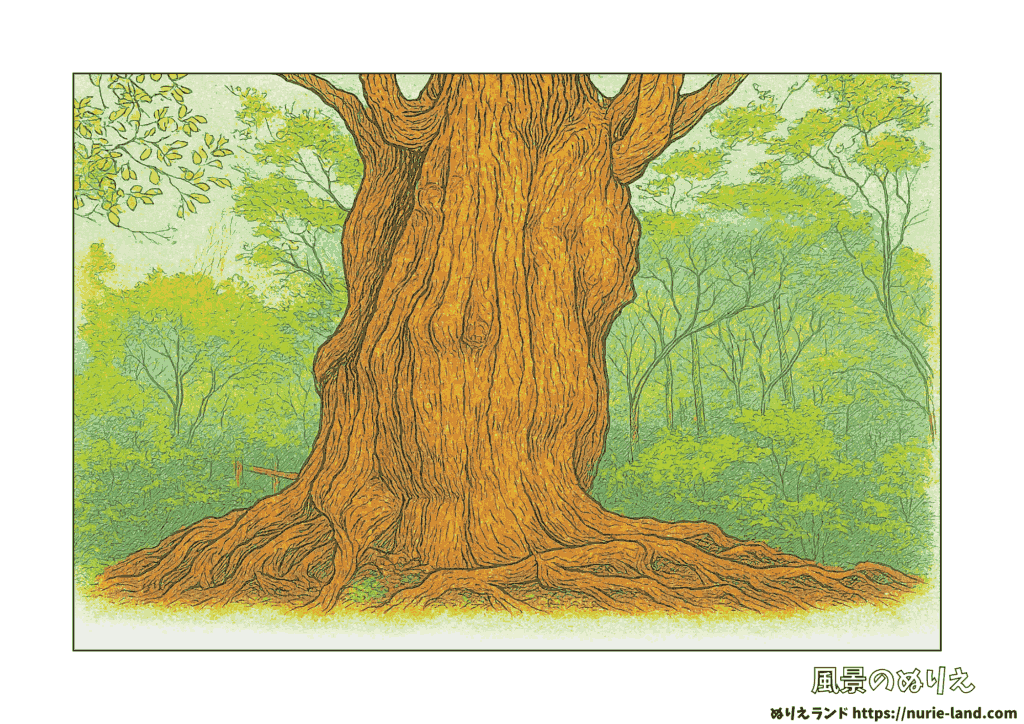 屋久杉の塗り絵｜夏の森で神秘の巨木を彩る｜高齢者向け無料ダウンロード