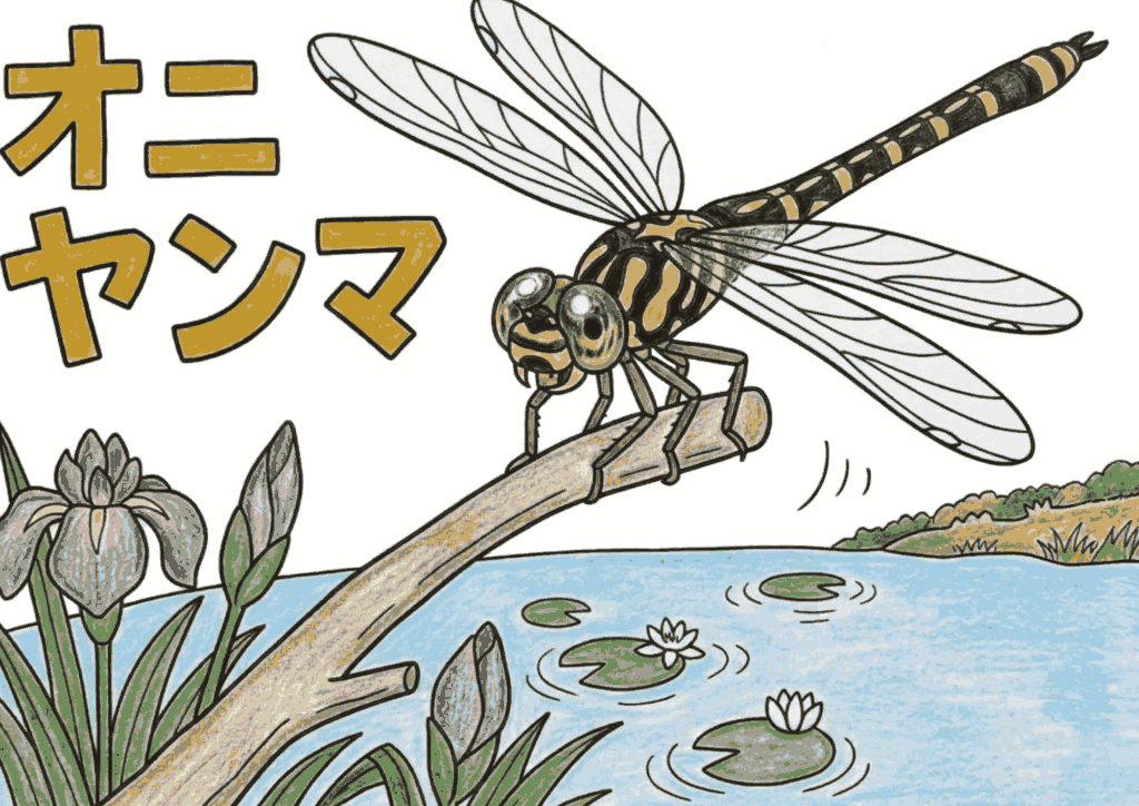 オニヤンマの塗り絵イラスト カラー見本｜水辺の風景 無料ダウンロード