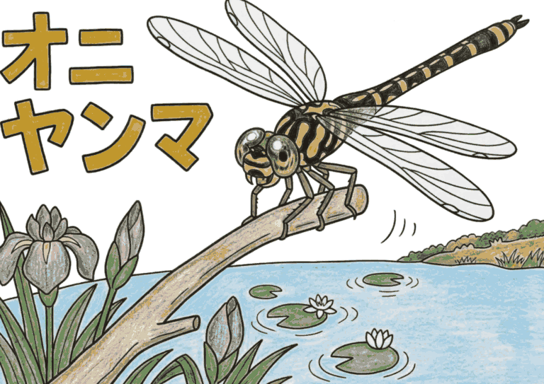 オニヤンマの塗り絵イラスト