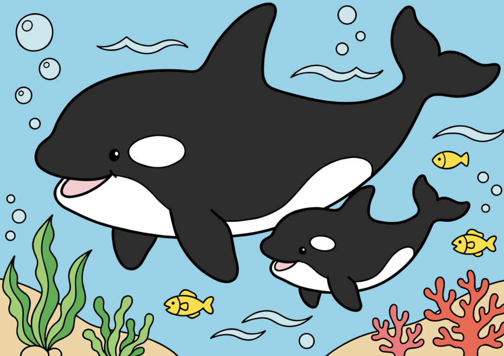 かわいい親子シャチの塗り絵イラスト